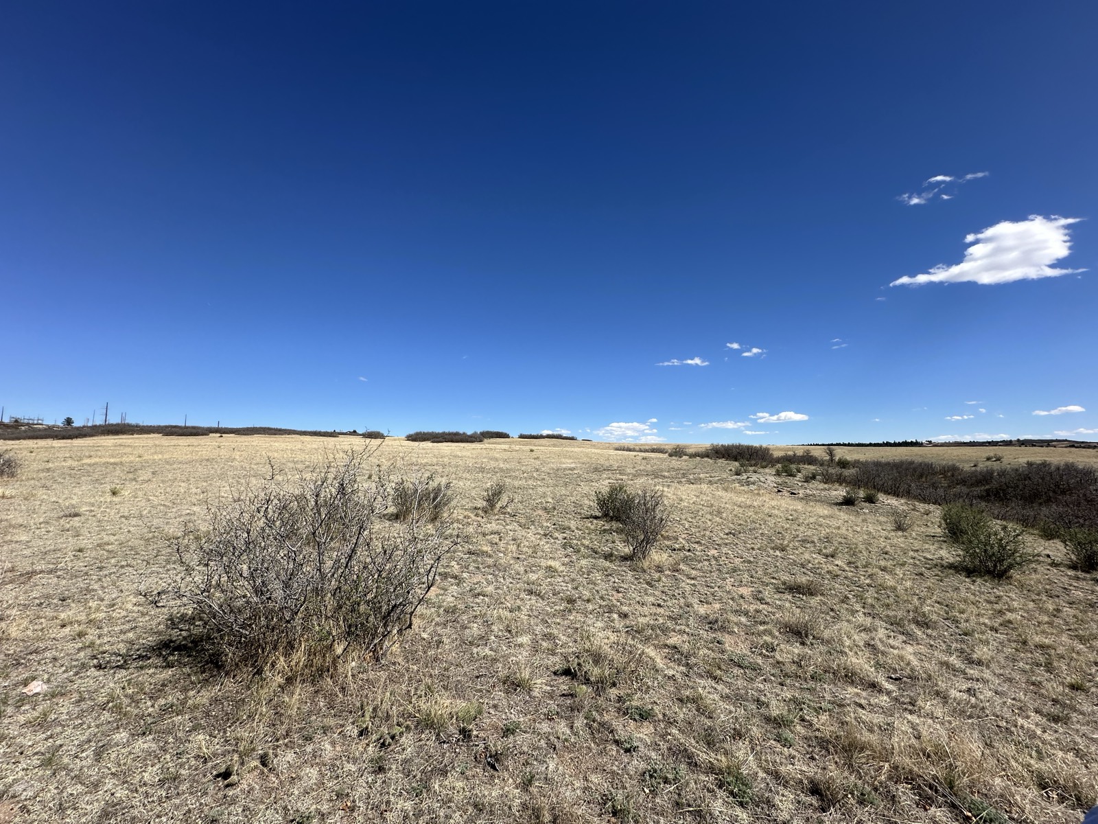 Open, level meadow on the property